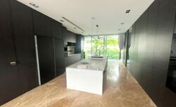 Nassim Park Residences (D10), Condominium #453272331